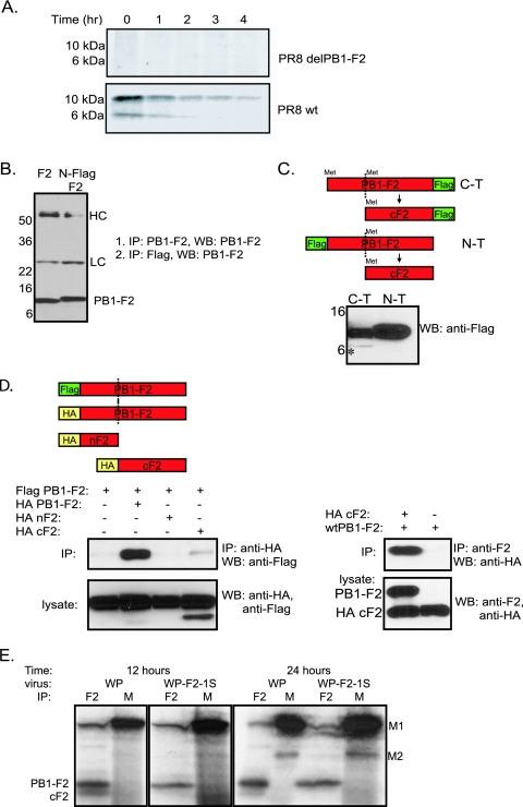 FIG. 1.