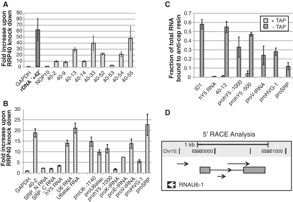 Figure 6.