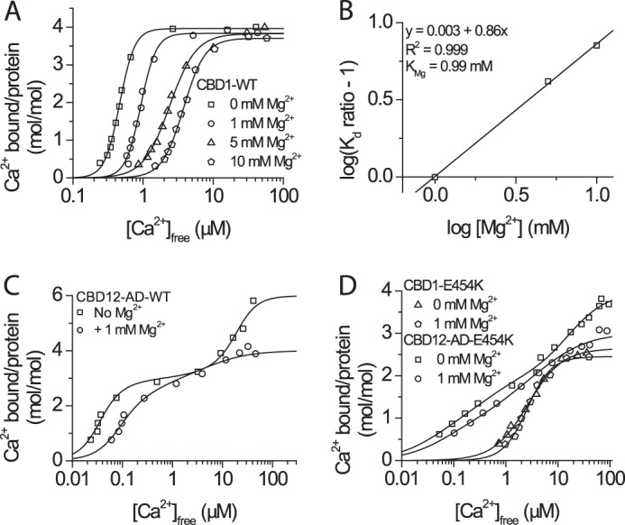 FIGURE 4.