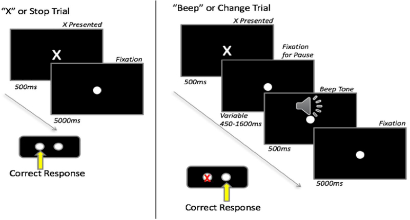 Figure 1: