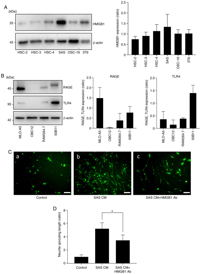 Figure 2.