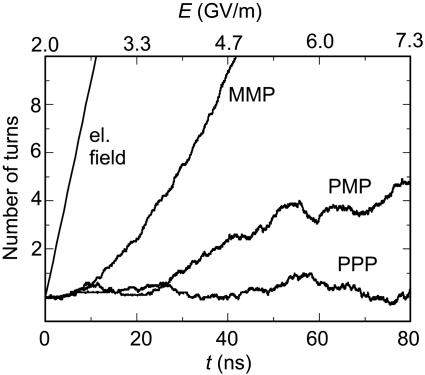 Fig. 5.