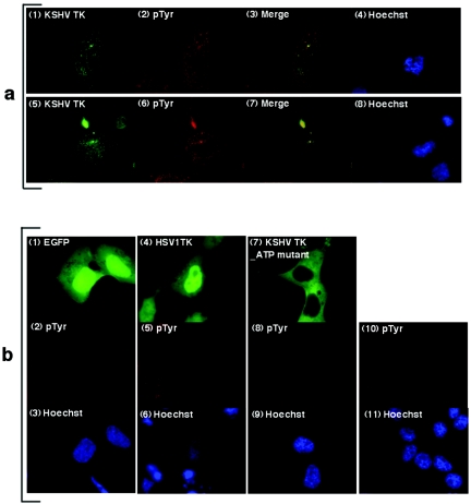 FIG. 6.