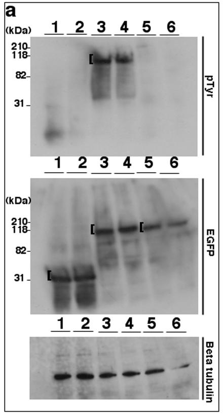 FIG.7.