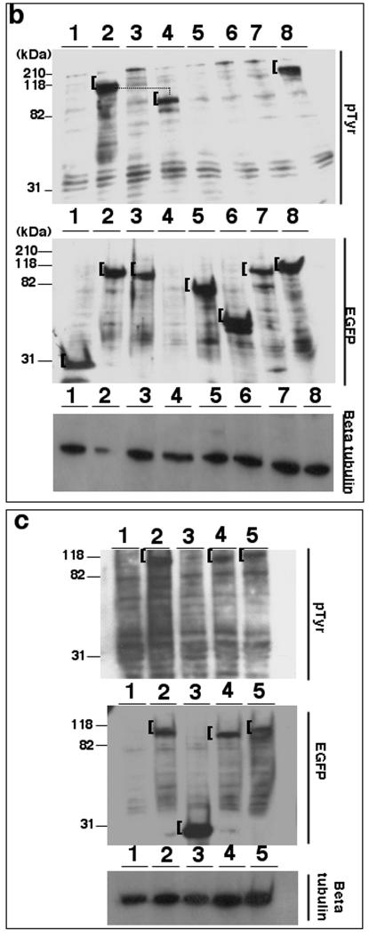 FIG.7.