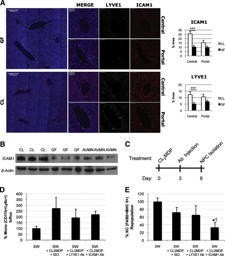 Figure 6