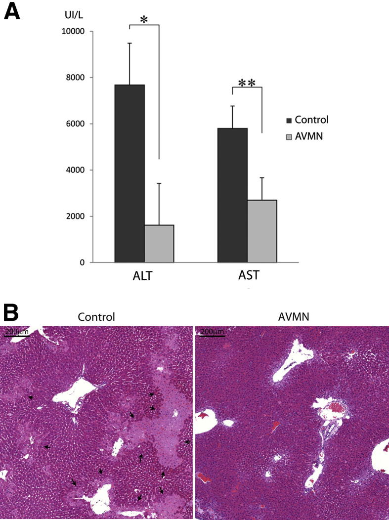 Figure 7