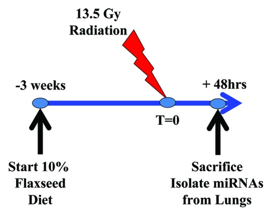 Figure 1. 