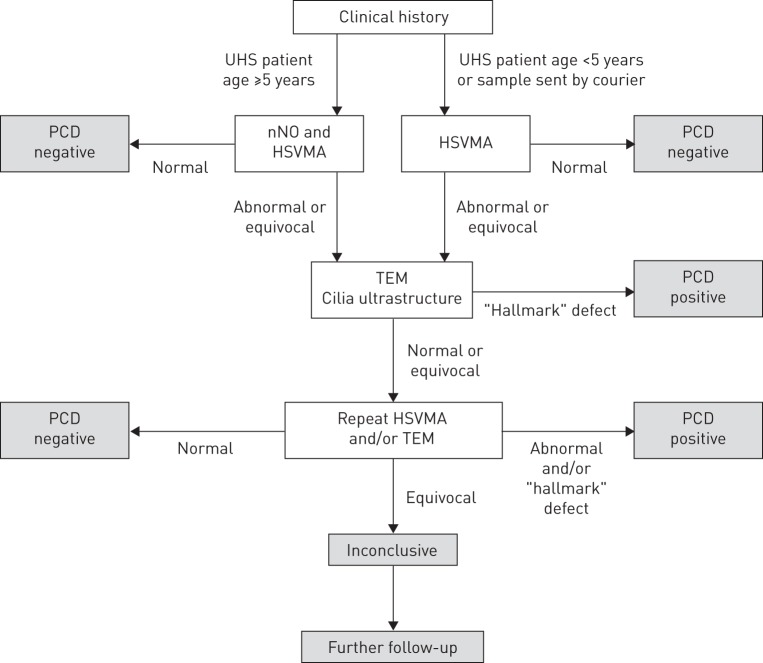 FIGURE 1