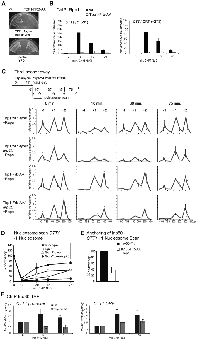 Figure 6.