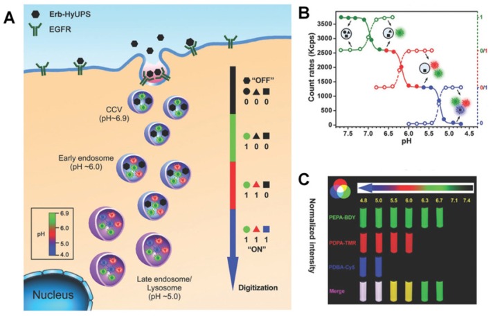 Figure 15