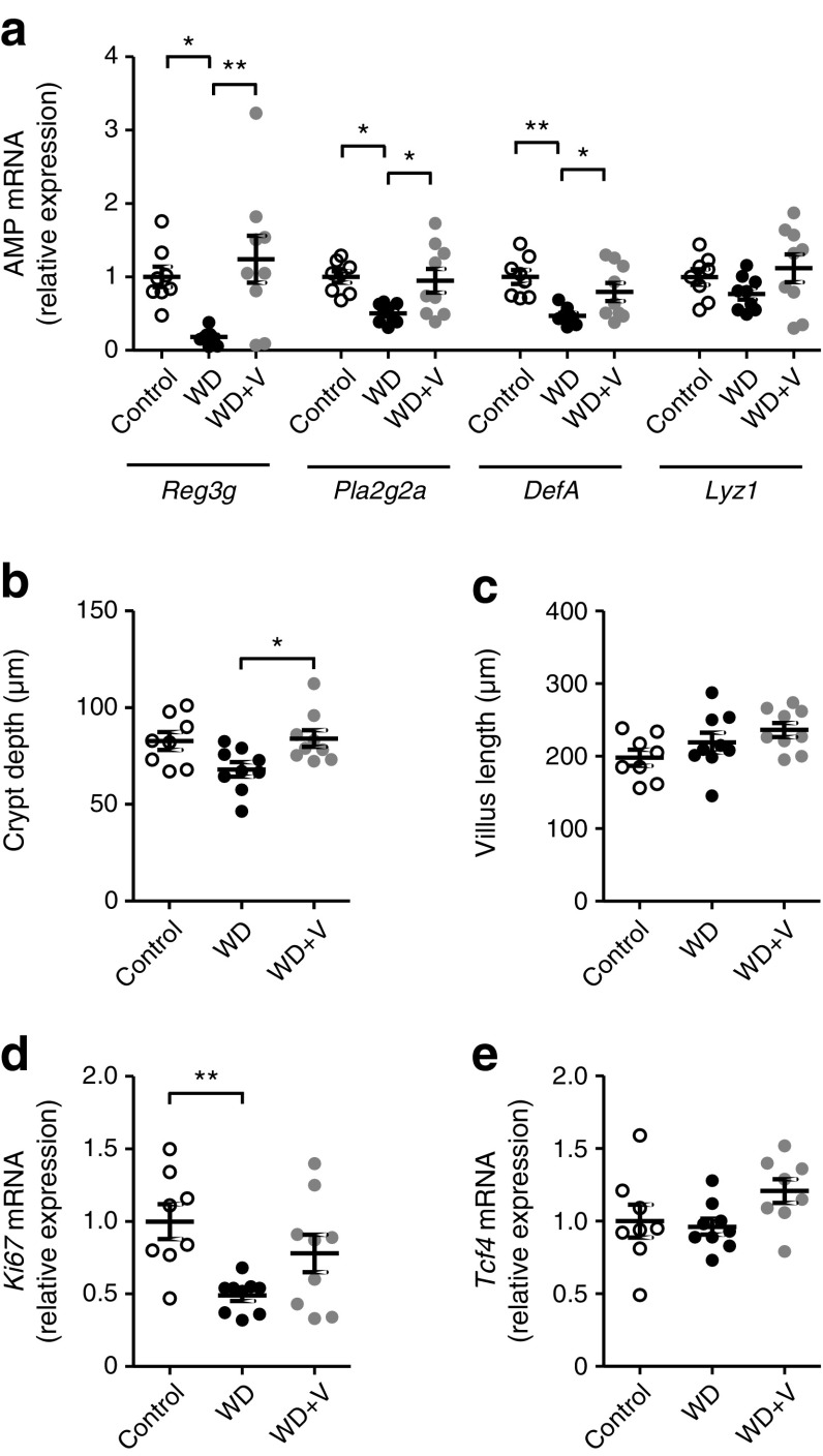 Fig. 8