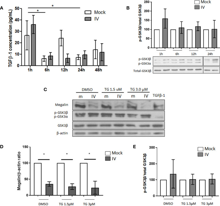 Figure 3