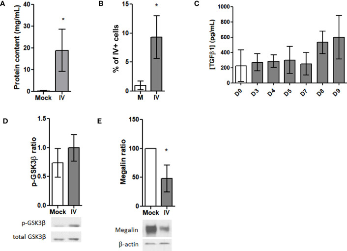 Figure 4