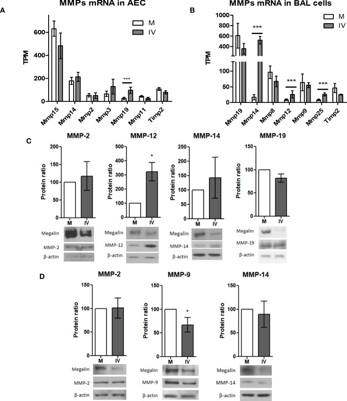 Figure 6