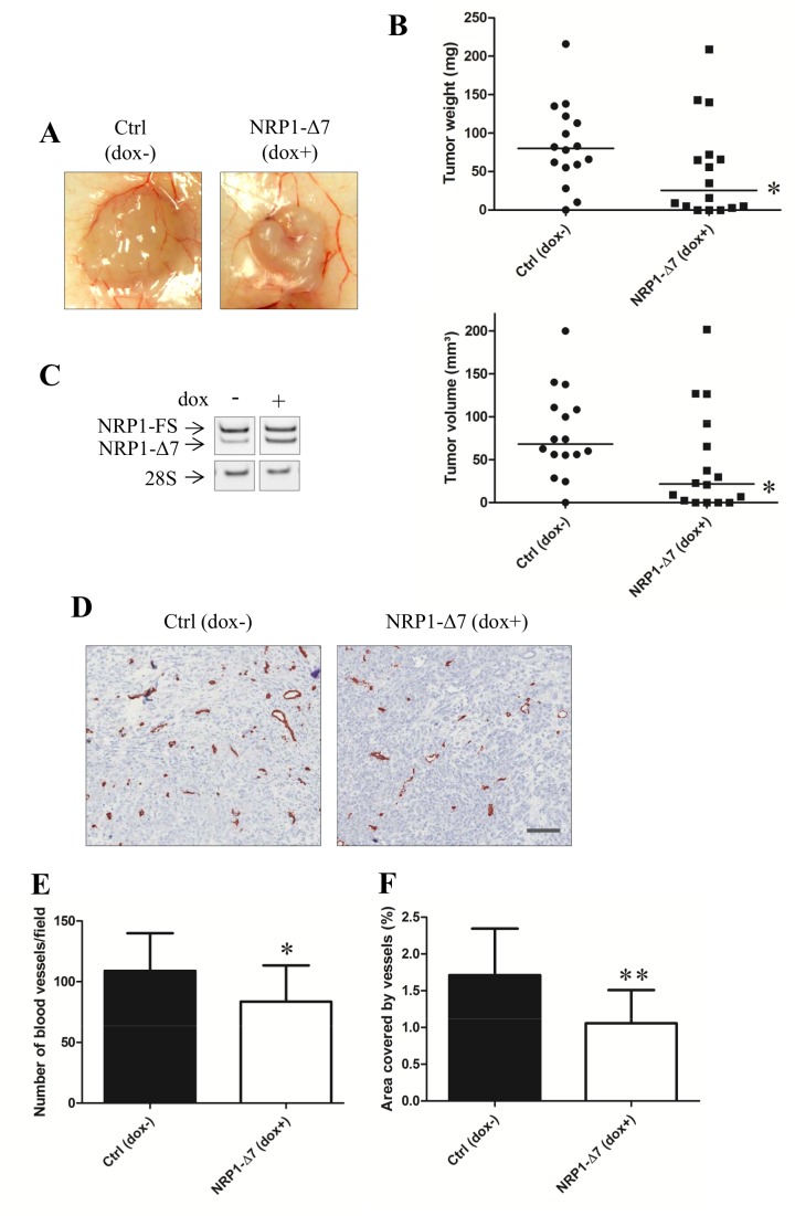 Fig 9