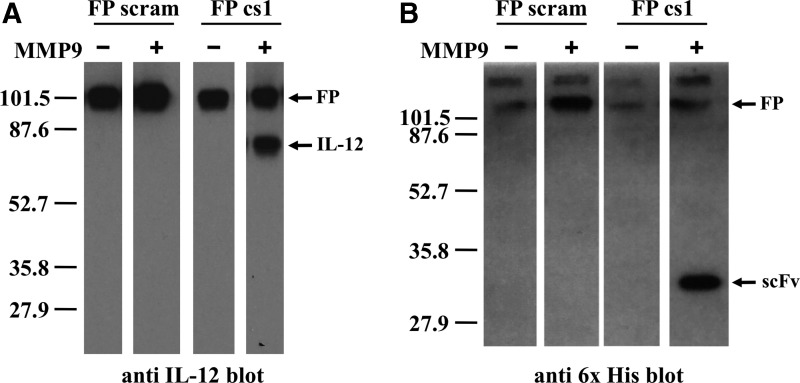 FIG. 5.