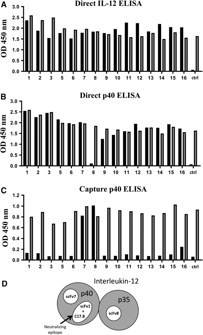 FIG. 2.