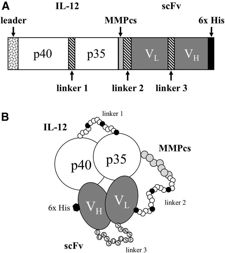 FIG. 1.