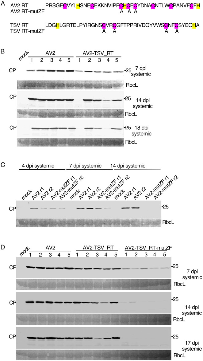 Fig 6