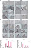 Fig 9