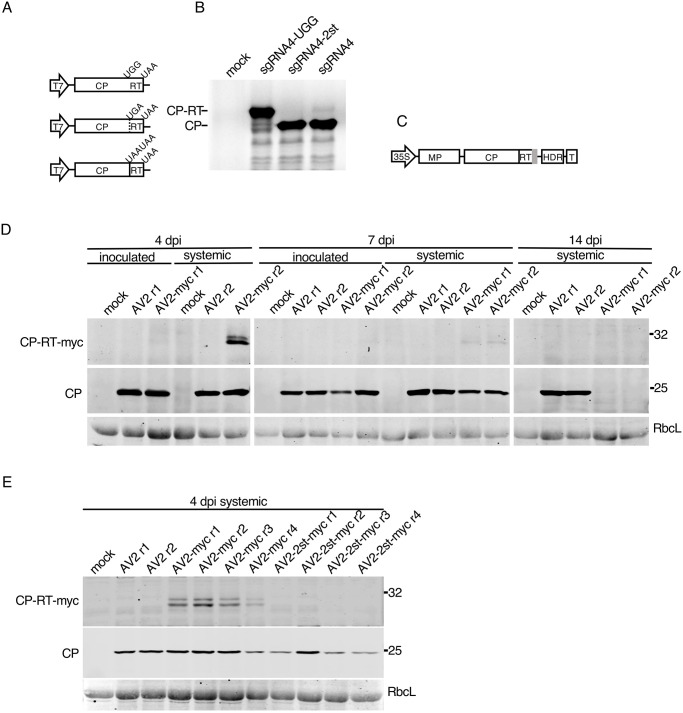 Fig 4