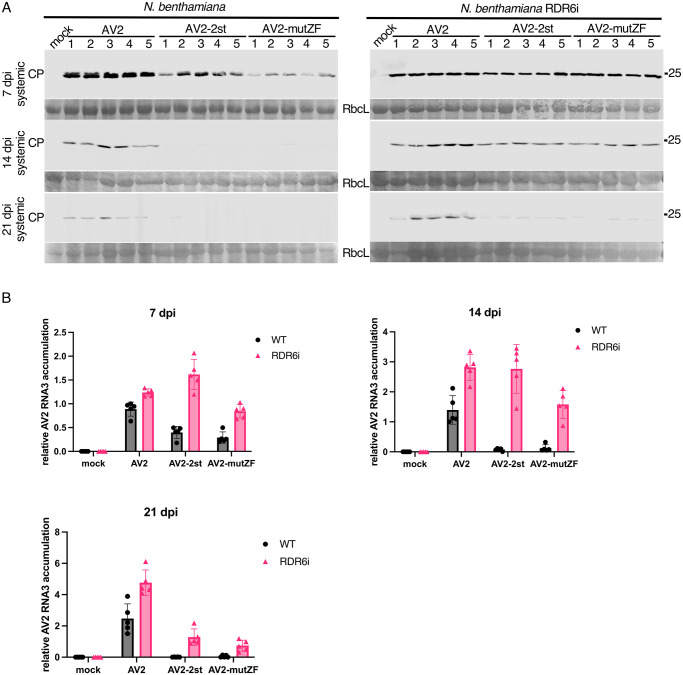 Fig 8