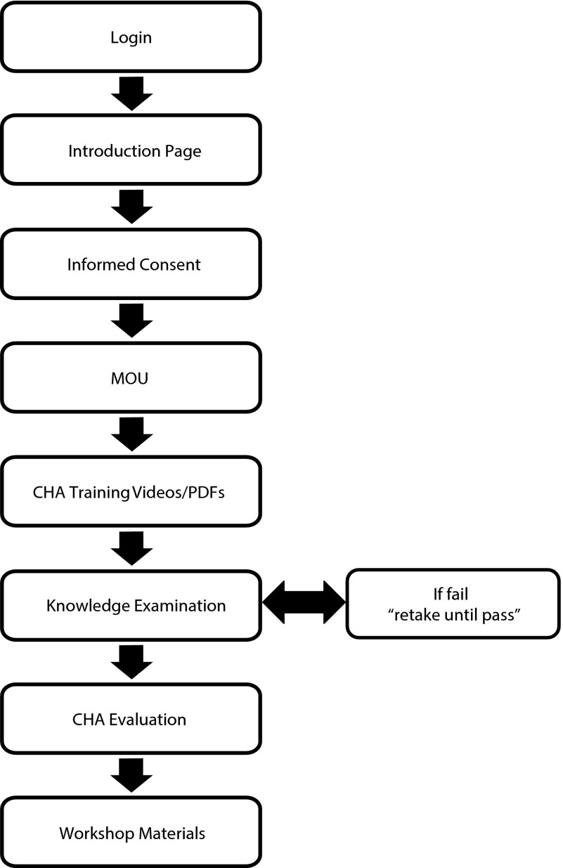 FIGURE 1—