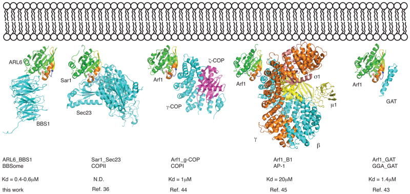 Fig 6