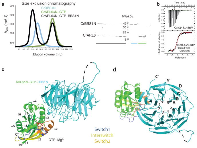 Fig. 1