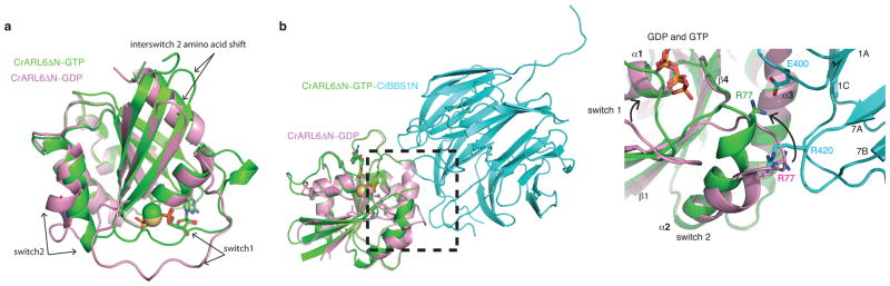 Fig. 4