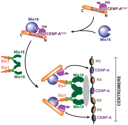 graphic file with name nihms966016u1.jpg