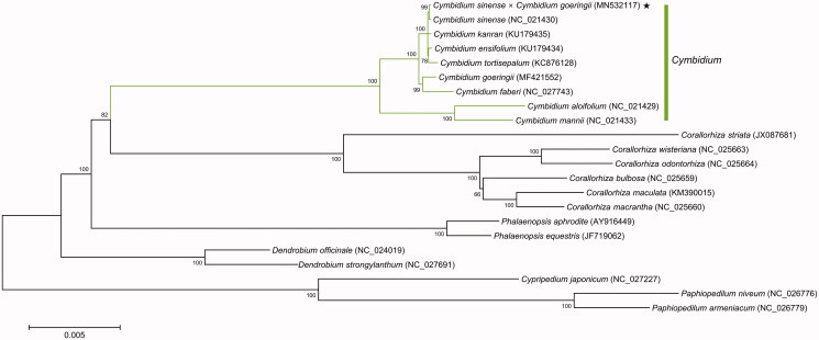 Figure 1.