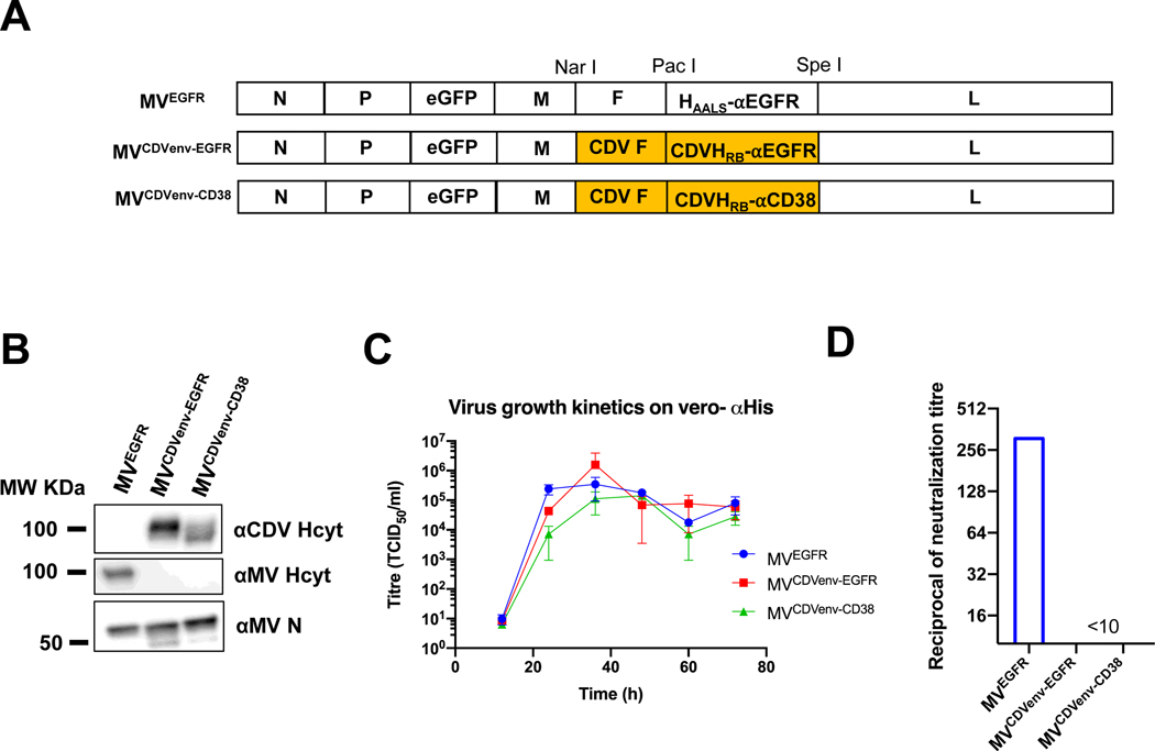 Figure 2: