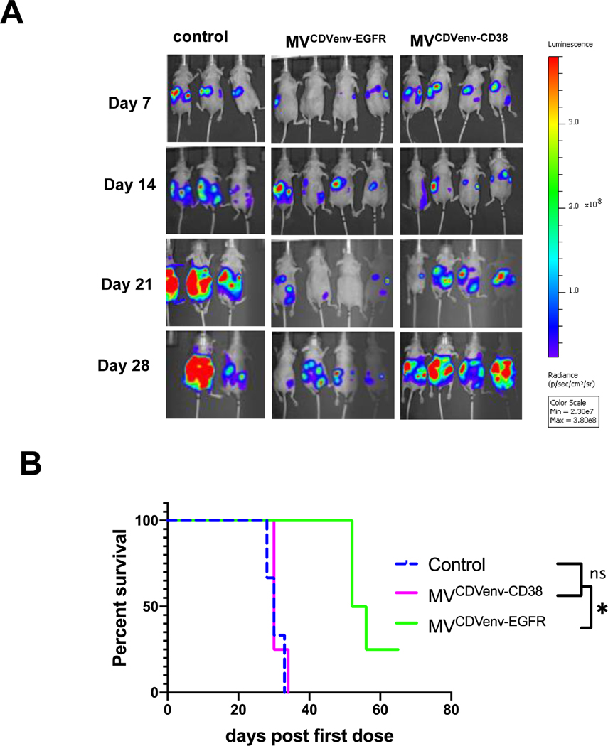 Figure 4: