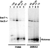 FIG. 9.
