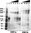FIG. 5.
