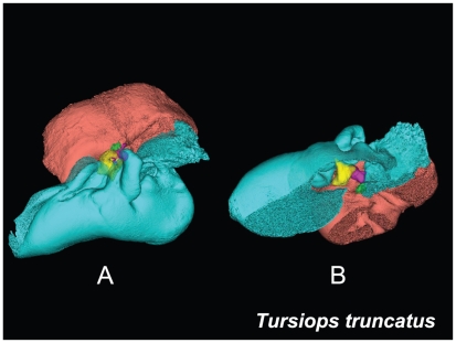 Figure 16