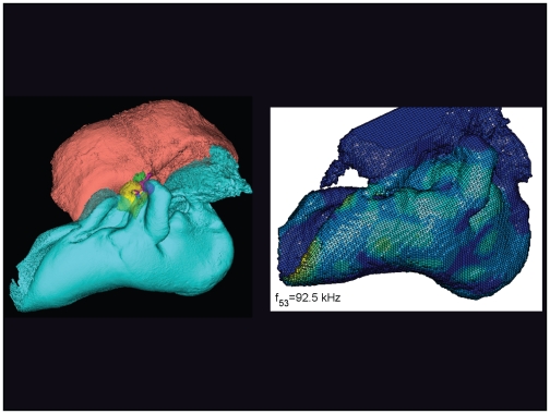 Figure 20