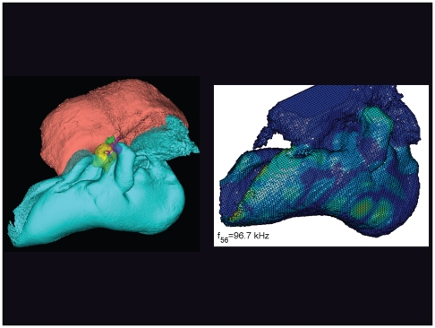 Figure 21