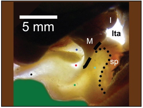 Figure 13