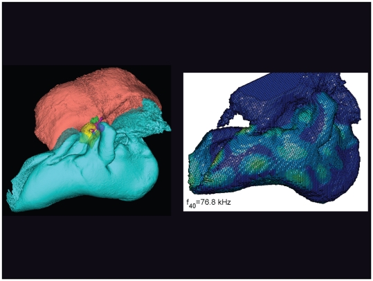 Figure 19