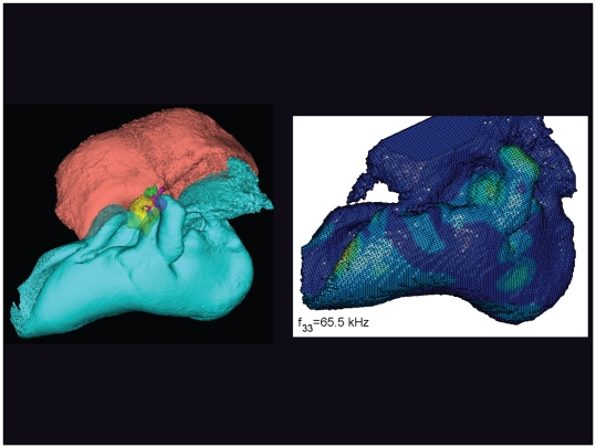 Figure 18