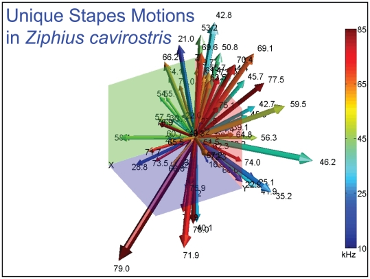 Figure 37