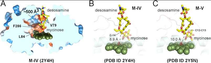 FIGURE 4.