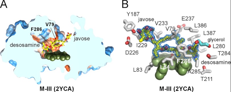 FIGURE 5.