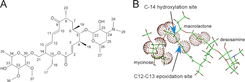 FIGURE 7.