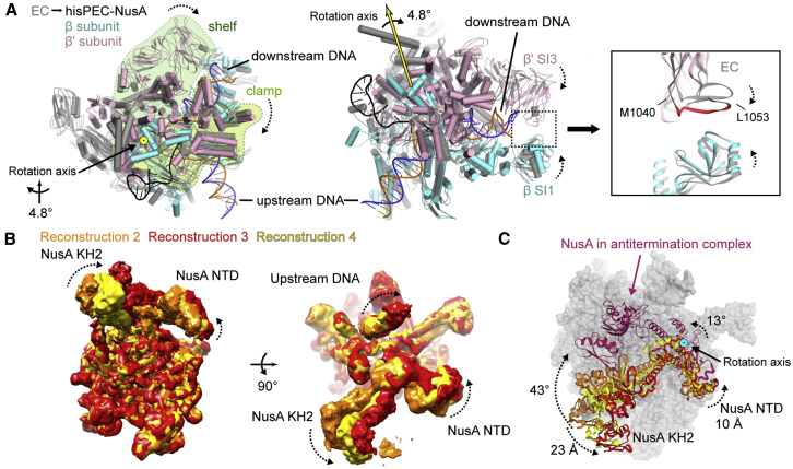 Figure 2