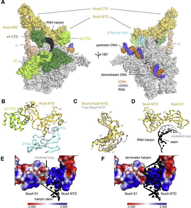 Figure 3