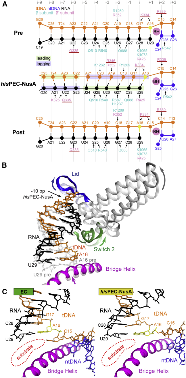 Figure 6